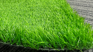 Unti-UV garantie landscape grass.jpg
