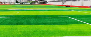 مصنوعی گھاس فٹ بال fields.jpg