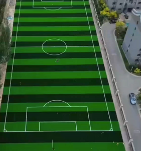 Football Synth&eacute;tique Gras.png