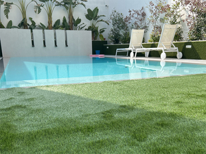 c&eacute;sped artificial para mascotas.jpg