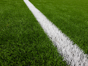 Hochbest&auml;ndiges Fu&szlig;ballplatzgras (1).jpg