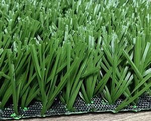 golfvorm voetbal grass.jpg