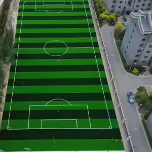 ဘောလုံးကွင်းများအတွက် ဓါတုမြက်