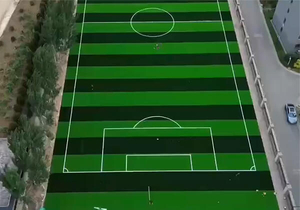 50 mm Kunstrasen-Fu&szlig;ballplatz.jpg