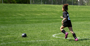 Erba da calcio da 45 mm per file con price.jpg economico